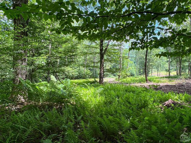 0 Woodland Hills Road, Andes, NY 13731