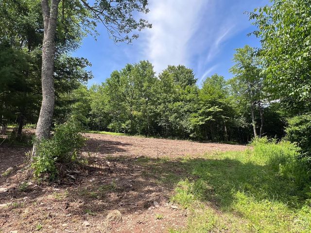 0 Woodland Hills Road, Andes, NY 13731