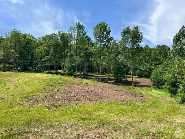 0 Woodland Hills Road, Andes, NY 13731