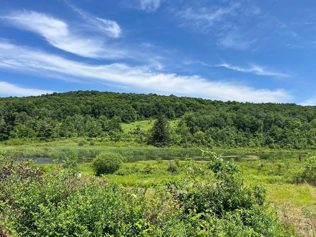 0 Woodland Hills Road, Andes, NY 13731