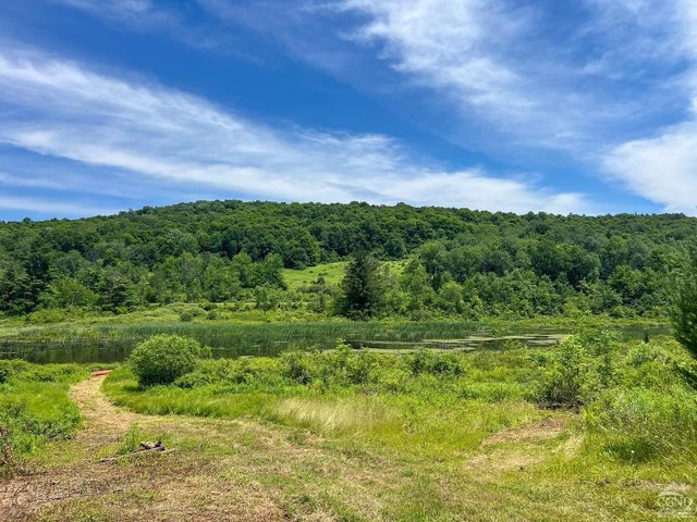 0 Woodland Hills Road, Andes, NY 13731