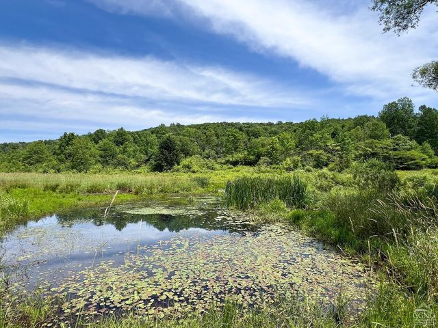 0 Woodland Hills Road, Andes, NY 13731