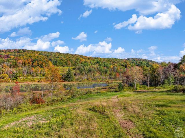 0 Woodland Hills Road, Andes, NY 13731
