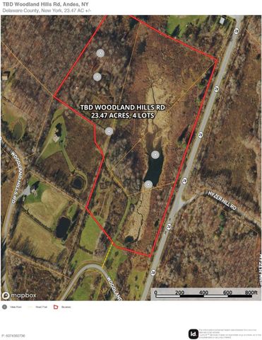 0 Woodland Hills Road, Andes, NY 13731