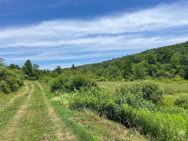 0 Woodland Hills Road, Andes, NY 13731