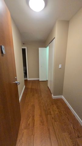 235 W Van Buren Street 1417, Chicago, IL 60607