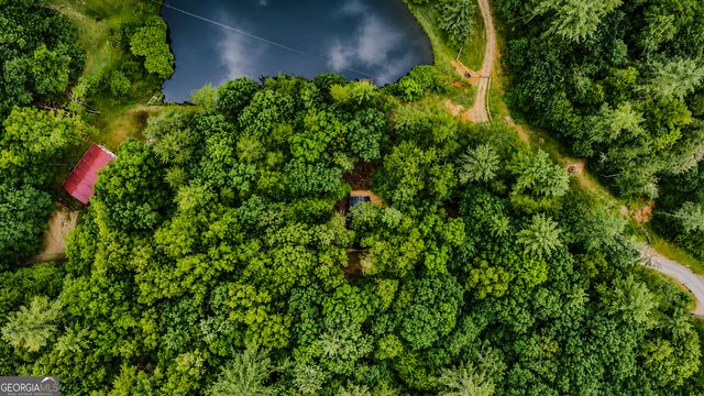 3 Mountain Lake Road, Blue Ridge, GA 30513