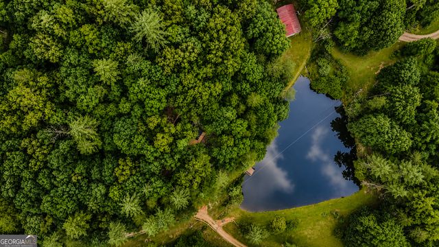 3 Mountain Lake Road, Blue Ridge, GA 30513