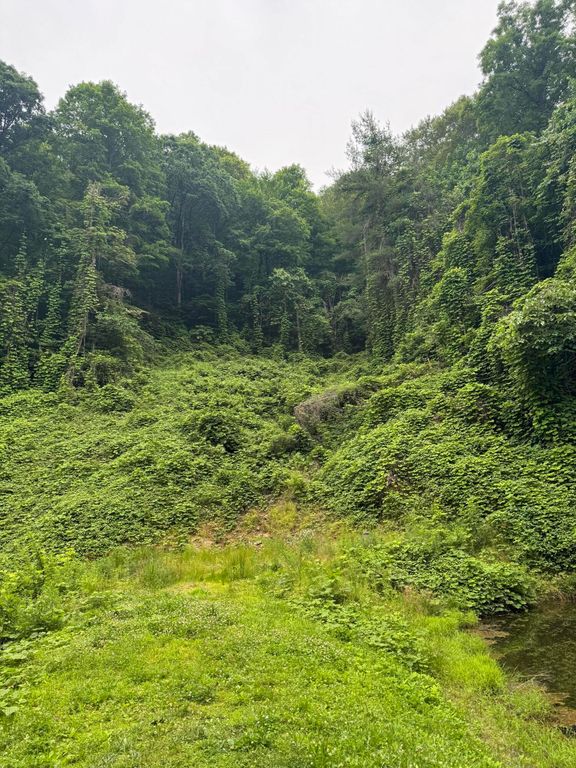 181 Ma and Pa Road, Jackson, KY 41339