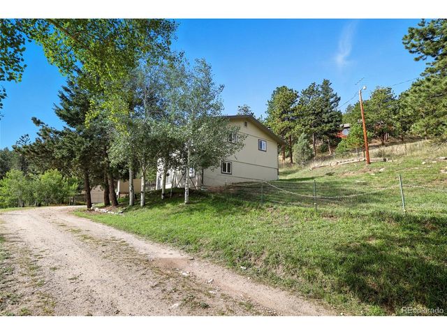364 Sleepy Hollow Dr, Bailey, CO 80421