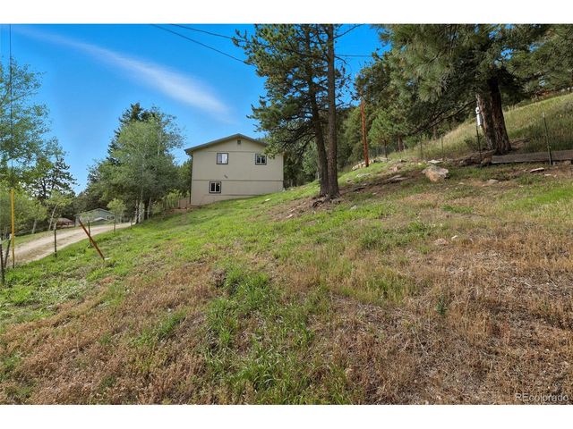 364 Sleepy Hollow Dr, Bailey, CO 80421