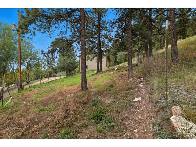 364 Sleepy Hollow Dr, Bailey, CO 80421