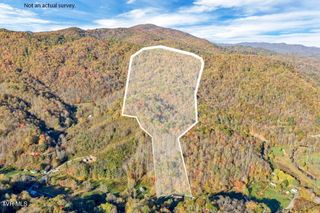 Tbd Hogum Hollow Road, Roan Mountain, TN 37687