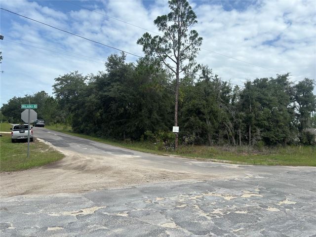 0000 MALAUKA PLACE, Ocklawaha, FL 32179
