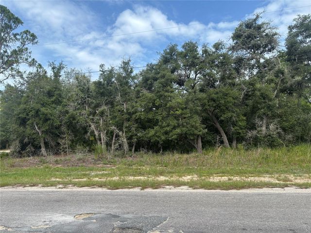0000 MALAUKA PLACE, Ocklawaha, FL 32179
