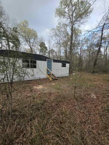 446 Lexington, Livingston, TX 77351