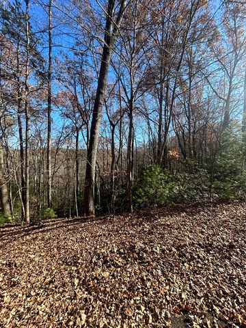 445 Apache Court, Ellijay, GA 30540