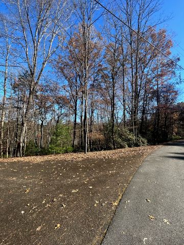 445 Apache Court, Ellijay, GA 30540