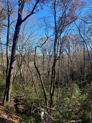 445 Apache Court, Ellijay, GA 30540