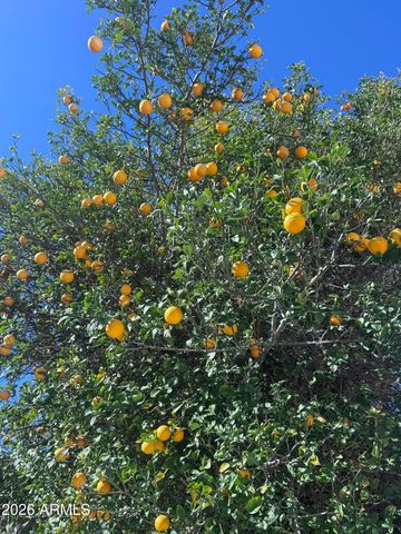 432 N WHITING --, Mesa, AZ 85213