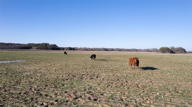 TBD CR 290, Carbon, TX 76435