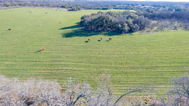 TBD CR 290, Carbon, TX 76435