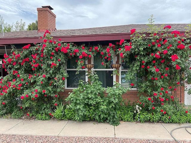 1112 TAMARISK DR, St. George, UT 84790