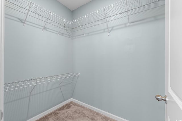 292 Carmello Circle, Conway, SC 29526