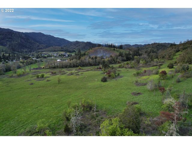 1171 Ne DIVISION St, Myrtle Creek, OR 97457