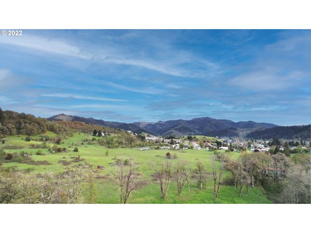1171 Ne DIVISION St, Myrtle Creek, OR 97457