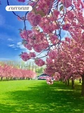 135 EASTERN Parkway 2B1, New York City, NY 11238