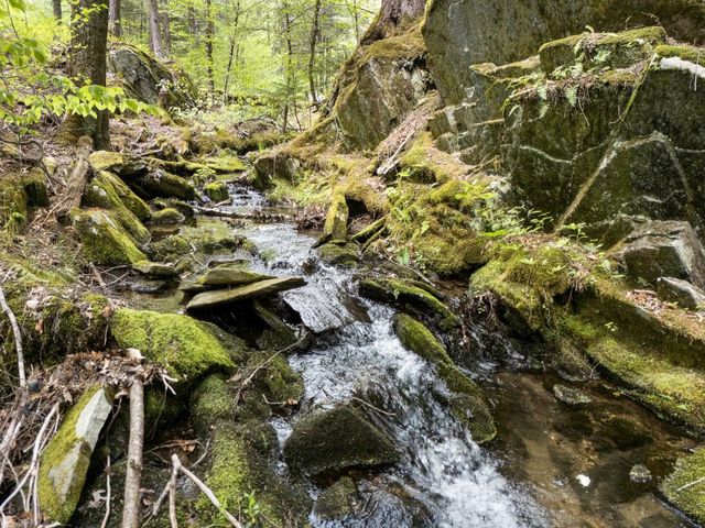 442 Brookline Road, Athens, VT 05345