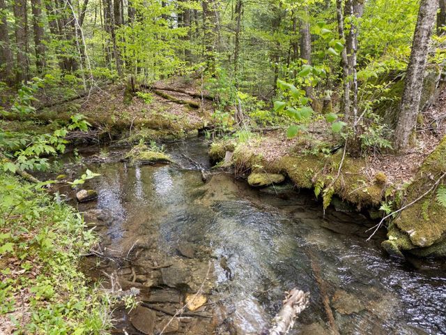 442 Brookline Road, Athens, VT 05345