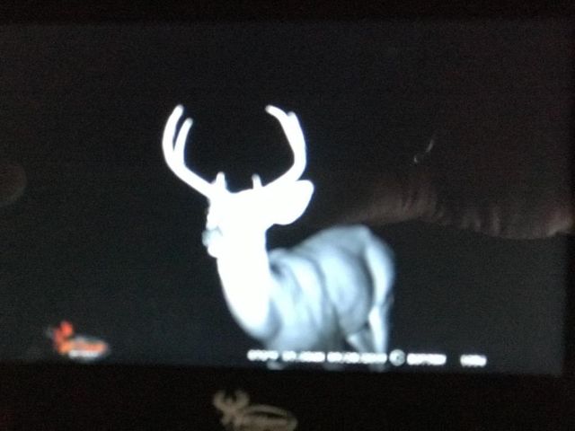 638 N Dade 181, Greenfield, MO 65661