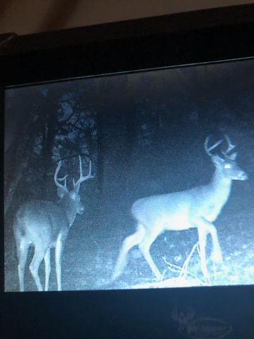 638 N Dade 181, Greenfield, MO 65661