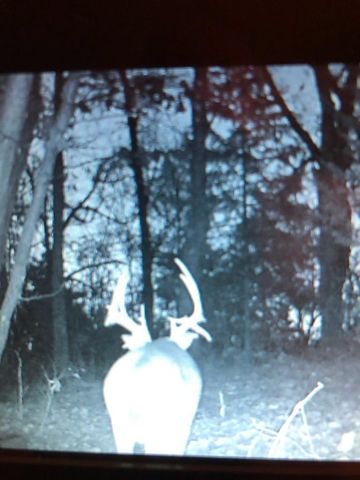 638 N Dade 181, Greenfield, MO 65661