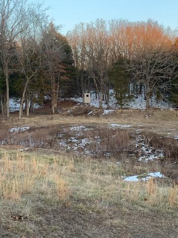 638 N Dade 181, Greenfield, MO 65661