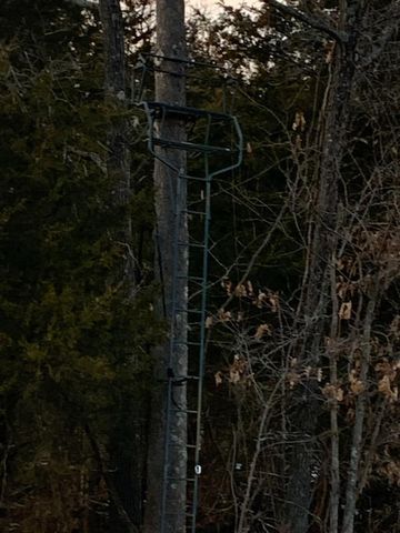 638 N Dade 181, Greenfield, MO 65661