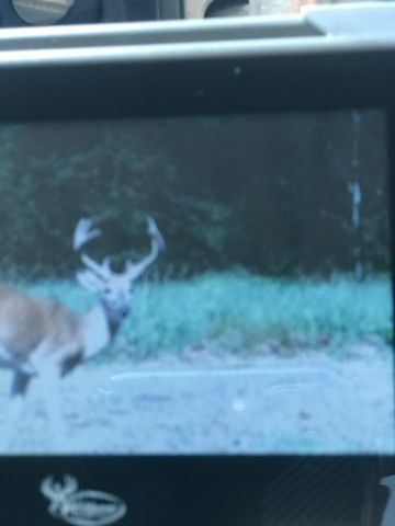 638 N Dade 181, Greenfield, MO 65661