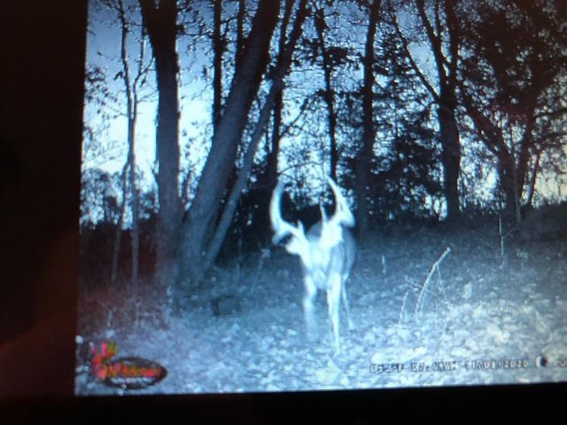 638 N Dade 181, Greenfield, MO 65661