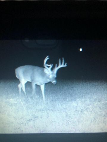 638 N Dade 181, Greenfield, MO 65661