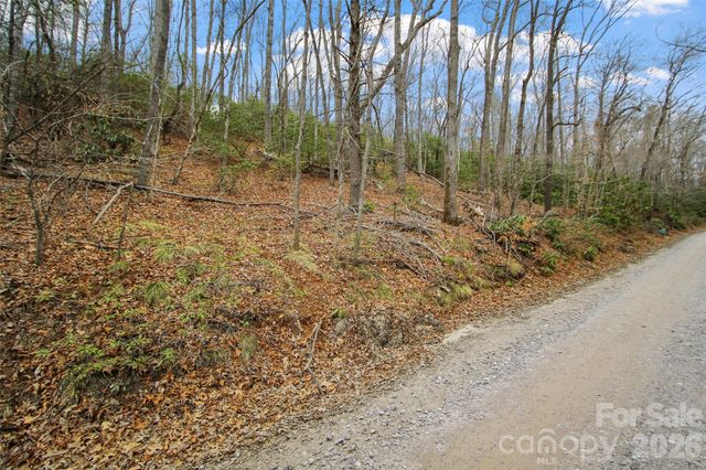 Lot 12 Patton Thicket Road, Burnsville, NC 28714