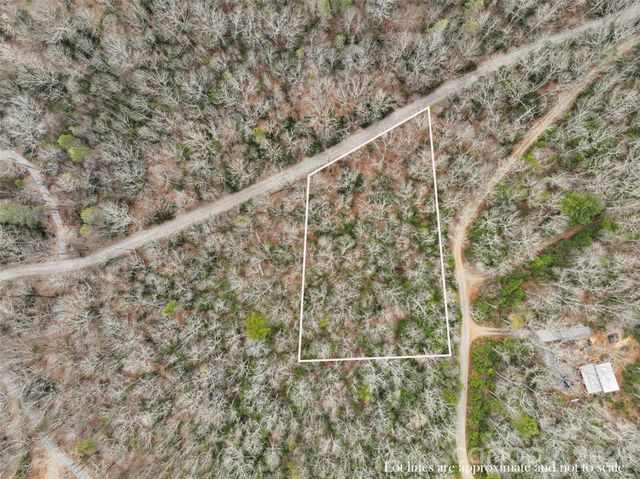 Lot 12 Patton Thicket Road, Burnsville, NC 28714