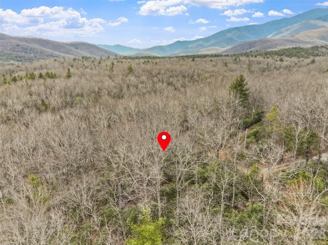 Lot 12 Patton Thicket Road, Burnsville, NC 28714