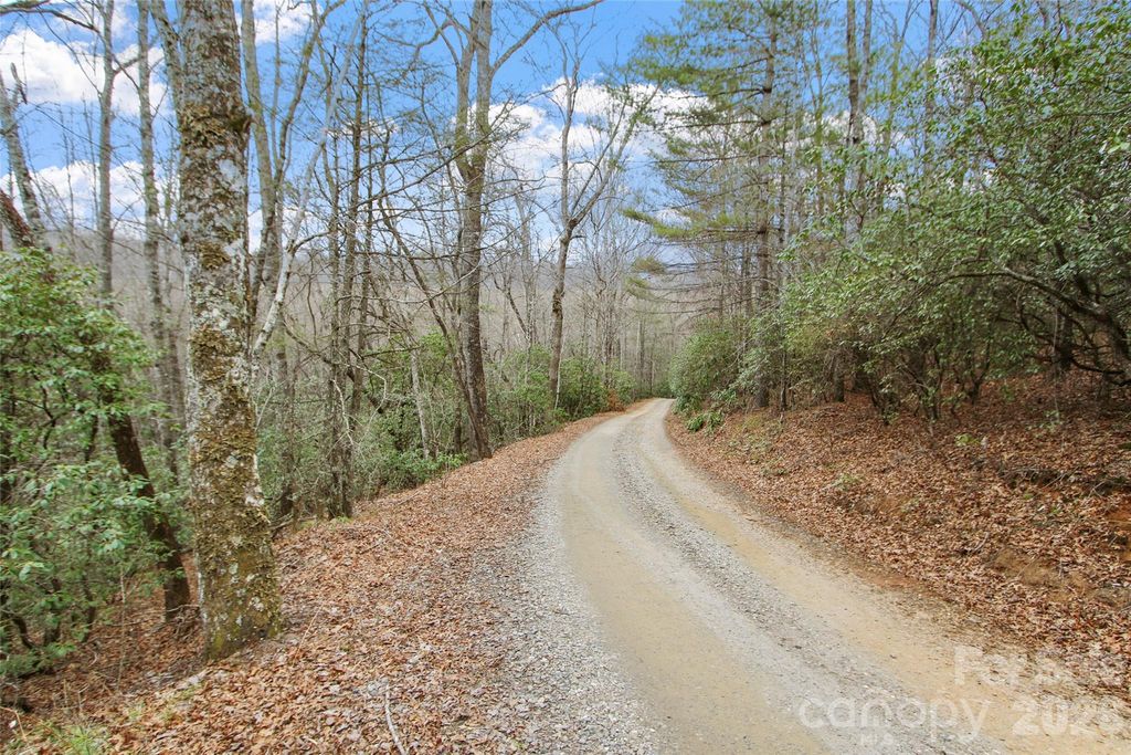 Lot 12 Patton Thicket Road, Burnsville, NC 28714