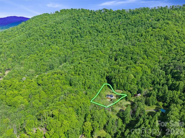 101 Waterwheel Drive, Green Mountain, NC 28740