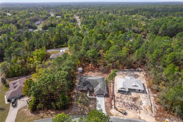 3212 W Camilo Drive, Citrus Springs, FL 34466