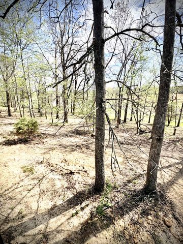 11694 West Green Hill Rd, Smithville, TN 37166