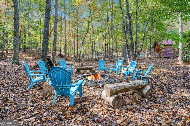 98 Bear Lane, Blue Ridge, GA 30513