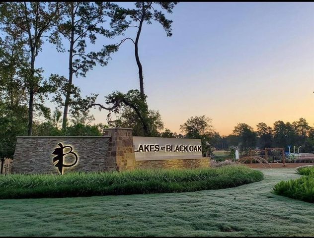 211 Intrepid Trail, Magnolia, TX 77354